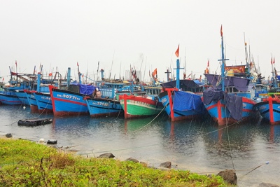 Chuyển đổi một số nghề khai thác hải sản ảnh hưởng đến môi trường sinh thái
