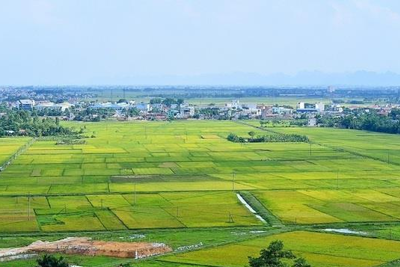 Quản lý, sử dụng đất đồng bộ với nền kinh tế thị trường định hướng xã hội chủ nghĩa