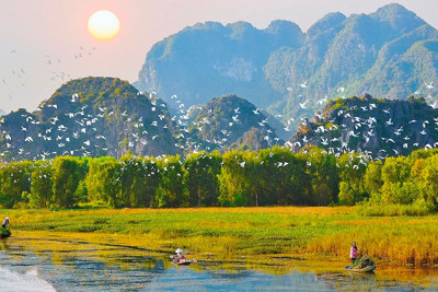 Ưu tiên cân đối chi ngân sách nhà nước cho sự nghiệp bảo vệ môi trường