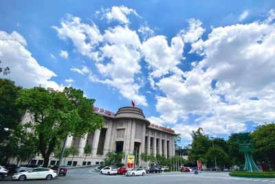 Ngân hàng Nhà nước chỉ đạo đẩy mạnh cho vay thu mua, kinh doanh thóc, gạo