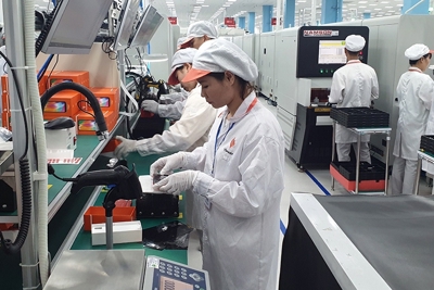 Các tiêu chuẩn, quy chuẩn kỹ thuật Việt Nam đạt tỷ lệ hài hòa quốc tế tới 60%