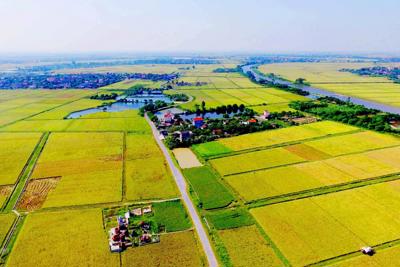 Bộ Tài chính triển khai các nhiệm vụ về nông nghiệp, nông dân, nông thôn