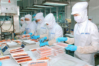 Gặt hái nhiều thành công nhờ chủ động áp dụng tiêu chuẩn quốc tế