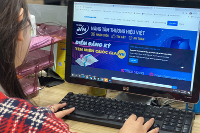 Giảm mức thu lệ phí đăng ký sử dụng tên miền quốc gia “.vn”