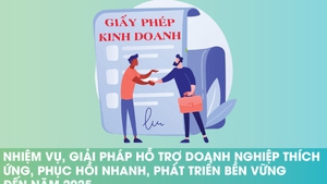 Nhiệm vụ, giải pháp hỗ trợ doanh nghiệp thích ứng, phục hồi nhanh, phát triển bền vững đến năm 2025