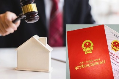 Sẽ phê duyệt giá khởi điểm đấu giá quyền sử dụng đất từ 30 tỷ đồng trở lên 