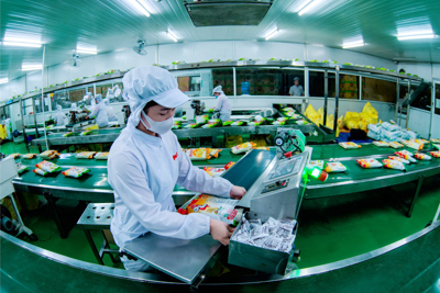 Tinh thần chủ động, tích cực hội nhập kinh tế quốc tế của Việt Nam qua nỗ lực gia nhập và trở thành thành viên WTO - Thành tựu và triển vọng