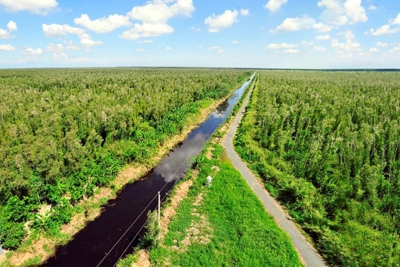 Triển vọng phát triển thị trường carbon ở Việt Nam