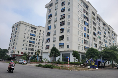 Lựa chọn chủ đầu tư xây dựng nhà ở xã hội theo hình thức đấu thầu