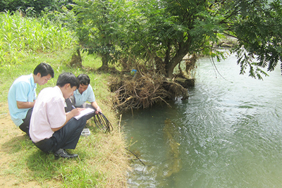 Sửa đổi, bổ sung quy định liên quan đến hoạt động kinh doanh trong lĩnh vực tài nguyên và môi trường