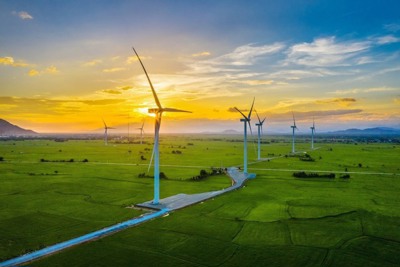 Đẩy nhanh tiến độ cấp giấy phép hoạt động đối với các dự án điện gió, điện mặt trời 