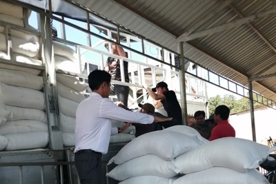 Hoàn thành xuất cấp gần 130 tấn gạo dự trữ quốc gia hỗ trợ học sinh 2 tỉnh
