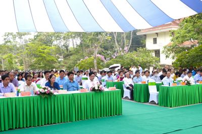 Thúc đẩy thực hiện giải pháp sáng tạo đối phó với cuộc khủng hoảng đa dạng sinh học