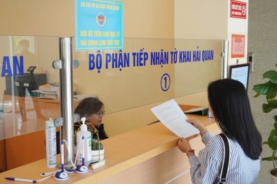 Hướng dẫn thủ tục hải quan với hàng hóa doanh nghiệp nội địa bán cho doanh nghiệp chế xuất