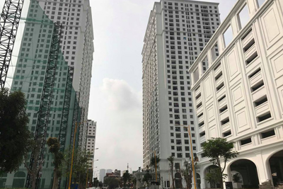 Ngày 20/6, sẽ tổ chức đấu giá 41 căn hộ chung cư tại Hà Nội
