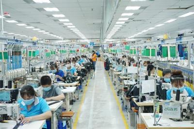 Bình Dương thực hiện đánh giá tác động của thuế suất tối thiểu toàn cầu