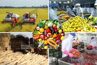 Giải pháp thúc đẩy sản xuất, tiêu thụ nông sản