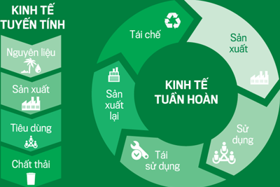 Loại bỏ các rào cản trong đầu tư vào kinh tế tuần hoàn