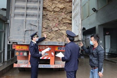 Đấu tranh chống buôn lậu, gian lận thương mại trên địa bàn trọng điểm miền Trung