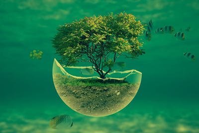 Phát triển tài chính xanh dưới tác động COVID-19: Kinh nghiệm quốc tế và gợi ý cho Việt Nam