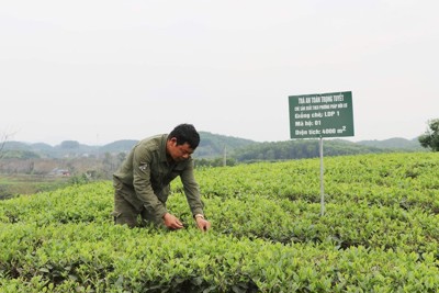 Quỹ Hỗ trợ nông dân hoạt động không vì mục tiêu lợi nhuận, đảm bảo