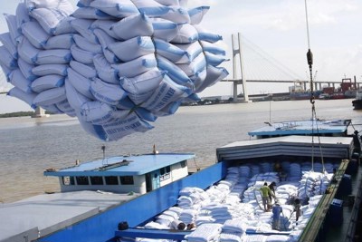 Đa dạng hóa thị trường xuất khẩu gạo, ổn định, bền vững