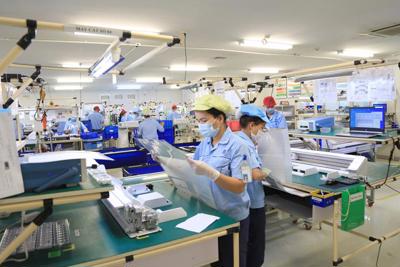 Bài 3: Chính sách tài khóa hỗ trợ doanh nghiệp dưới góc nhìn chuyên gia
