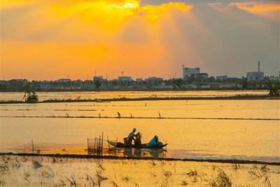 Tác động của các yếu tố an ninh phi truyền thống đến phát triển kinh tế - xã hội Vùng đồng bằng sông Cửu Long 