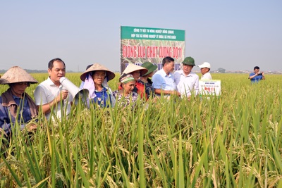 Xây dựng ít nhất 300 mô hình hợp tác xã nông nghiệp hoạt động hiệu quả