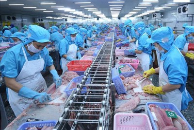 Ngân hàng dành 15.000 tỷ đồng cho vay lãi suất thấp đối với doanh nghiệp lâm sản, thủy sản