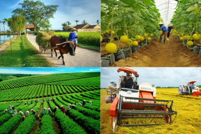 Xây dựng giải pháp tài chính toàn diện cho khu vực nông thôn 