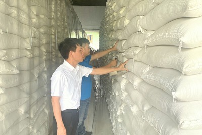 Đẩy nhanh nhập gạo dự trữ quốc gia, kịp thời xuất viện trợ cho Cuba