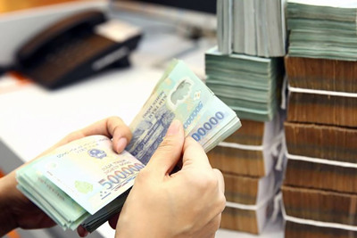 Ngân sách trung ương hỗ trợ tối đa không quá 30% vốn đầu tư phát triển cho ngân sách địa phương