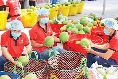 7 tháng, xuất khẩu nông sản đạt hơn 29 tỷ USD
