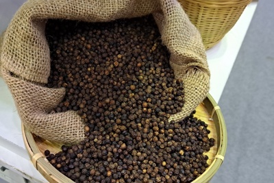 Khẩn trương hỗ trợ các doanh nghiệp xuất khẩu hồ tiêu sang thị trường UAE