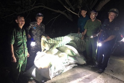 Hải quan Đồng Tháp phát hiện, thu giữ 600 kg đường lậu