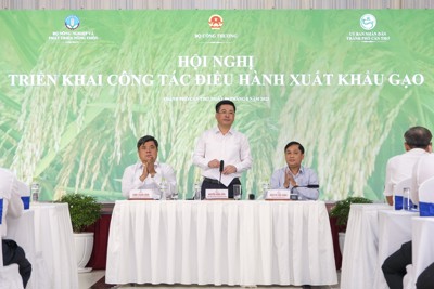 Tận dụng thời cơ về giá để đẩy mạnh sản xuất, xuất khẩu gạo