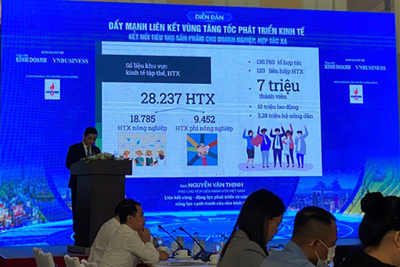 Tháo gỡ “nút thắt” trong liên kết kinh tế vùng ở Việt Nam