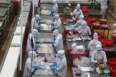 Agribank hỗ trợ vốn cho lĩnh vực lâm, thủy sản với Chương trình tín dụng 3 nghìn tỷ đồng