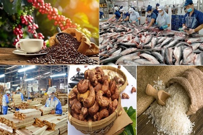 8 tháng, kim ngạch xuất khẩu nông, lâm, thủy sản đạt hơn 33 tỷ USD
