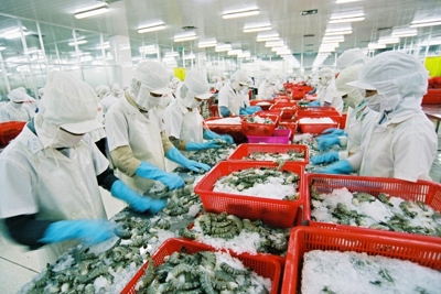 Thực trạng kế toán môi trường trong các doanh nghiệp thủy sản tại Việt Nam