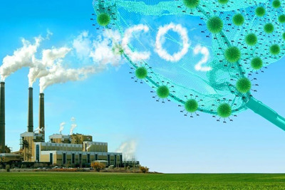 Kết nối tài chính xanh với tín chỉ carbon để sớm chuyển đổi sang nền kinh tế xanh