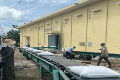 Hoàn thành nhập kho 7.500 tấn gạo trước thời hạn