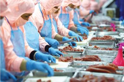 Quản lý chặt chẽ vệ sinh an toàn thực phẩm trong sản xuất thủy sản phục vụ xuất khẩu