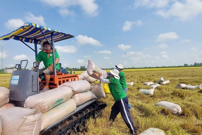 Xuất khẩu nông, lâm, thuỷ sản đạt hơn 38 tỷ USD