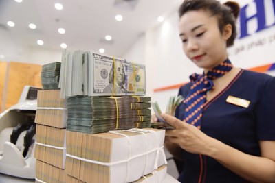 Tỷ giá chững lại sau khi liên tiếp tăng