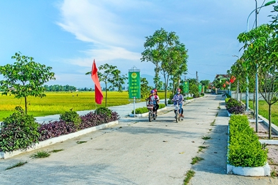 Xây dựng mô hình mẫu khu chức năng dịch vụ hỗ trợ phát triển kinh tế nông thôn