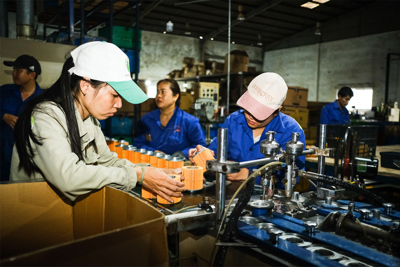 Tăng cường liên kết, phối hợp giữa hai vùng Trung Bộ và Tây Nguyên trong thúc đẩy phát triển kinh tế hiện nay