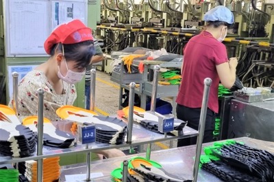 Tạo việc làm bền vững gắn với nâng cao thu nhập cho người lao động