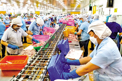 Các doanh nghiệp thủy sản cần đặc biệt quan tâm đến rủi ro tài chính